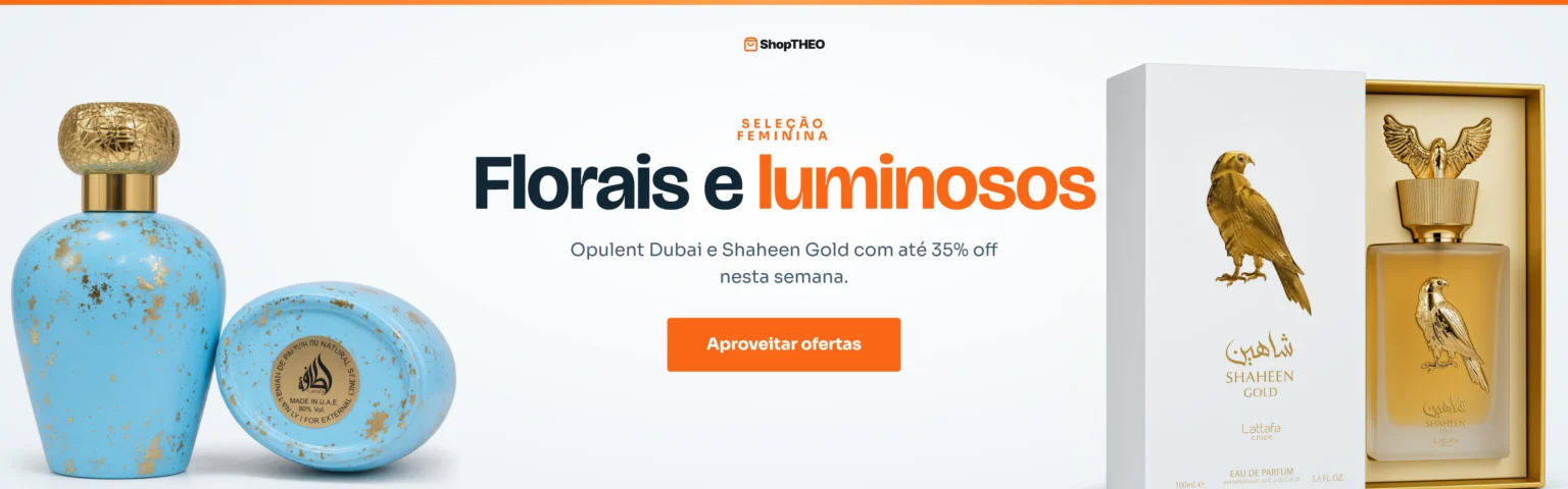 Banner promocional ShopTHEO 2