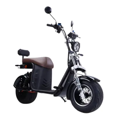 Bicicleta Elétrica Scooter R13 1000W