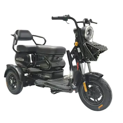 Triciclo Elétrico Scooter 800W Wsd-U1