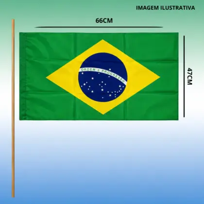 Kit 10 Bandeiras 47x66cm Com Haste De Madeira